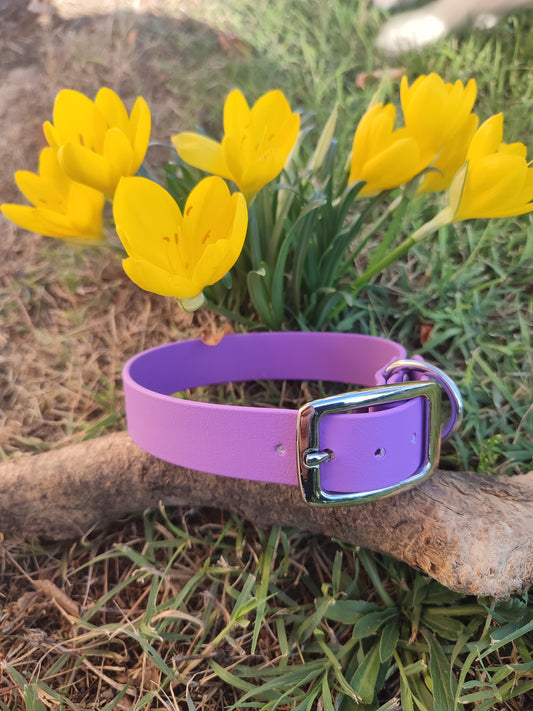 Collier en Biothane chat - Titi&co