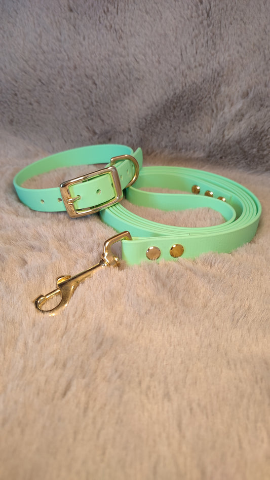 Laisse en Biothane - Titi&co